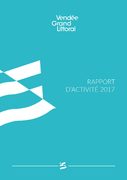 rapport activite 2018_BD